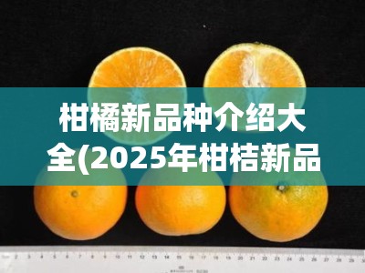 柑橘新品种介绍大全(2025年柑桔新品种简介)