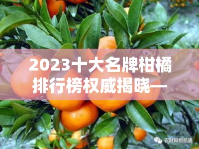 2023十大名牌柑橘排行榜权威揭晓——果农推荐必看优质品种榜单