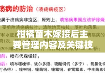 柑橘苗木嫁接后主要管理内容及关键技术措施解析