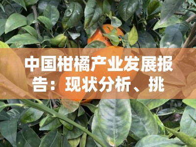 中国柑橘产业发展报告：现状分析、挑战机遇与未来趋势展望