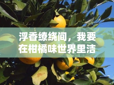 浮香缭绕间，我要在柑橘味世界里洁身自好
