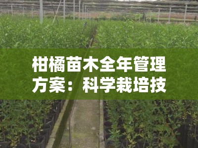 柑橘苗木全年管理方案：科学栽培技术要点与四季管理指南