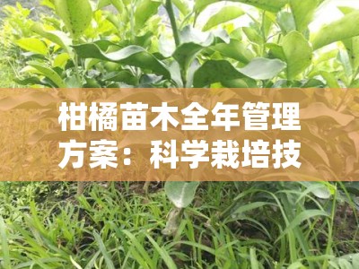 柑橘苗木全年管理方案：科学栽培技术要点与四季管理指南