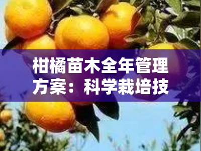 柑橘苗木全年管理方案：科学栽培技术要点与四季管理指南