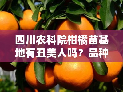 四川农科院柑橘苗基地有丑美人吗？品种供应与种植技术全解析