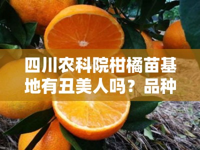 四川农科院柑橘苗基地有丑美人吗？品种供应与种植技术全解析