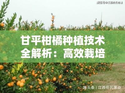 甘平柑橘种植技术全解析：高效栽培与科学管理要点