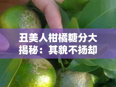 丑美人柑橘糖分大揭秘：其貌不扬却甜蜜爆表的味觉密码