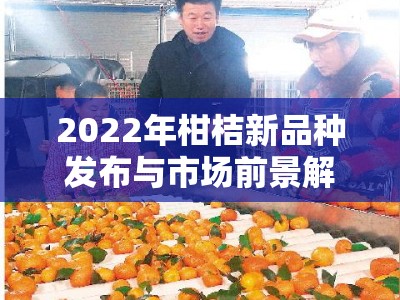 2022年柑桔新品种发布与市场前景解析