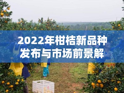 2022年柑桔新品种发布与市场前景解析