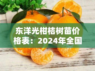 东洋光柑桔树苗价格表：2024年全国各地区最新报价及选购指南