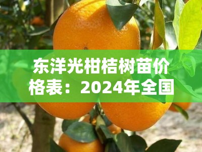 东洋光柑桔树苗价格表：2024年全国各地区最新报价及选购指南