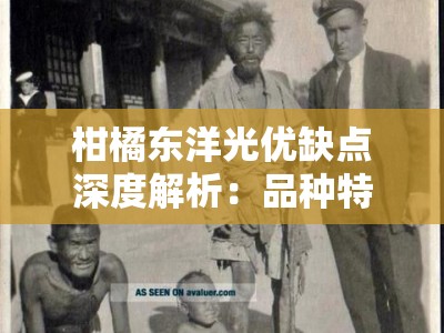 柑橘东洋光优缺点深度解析：品种特性与栽培技术全面探讨