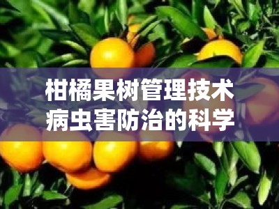 柑橘果树管理技术病虫害防治的科学策略与高效实践指南