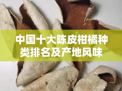 中国十大陈皮柑橘种类排名及产地风味解析
