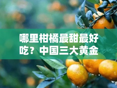 哪里柑橘最甜最好吃？中国三大黄金产地测评揭秘