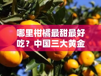 哪里柑橘最甜最好吃？中国三大黄金产地测评揭秘