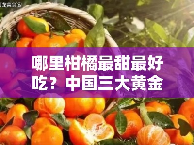 哪里柑橘最甜最好吃？中国三大黄金产地测评揭秘