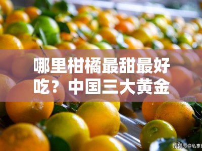 哪里柑橘最甜最好吃？中国三大黄金产地测评揭秘