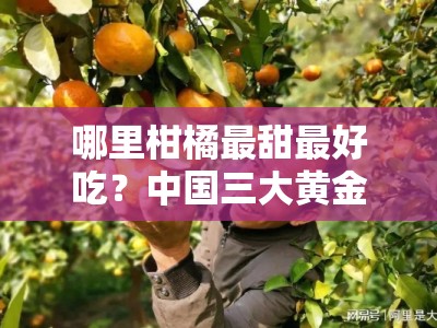 哪里柑橘最甜最好吃？中国三大黄金产地测评揭秘