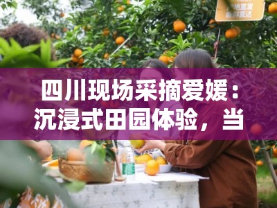 四川现场采摘爱媛：沉浸式田园体验，当季鲜果触手可摘