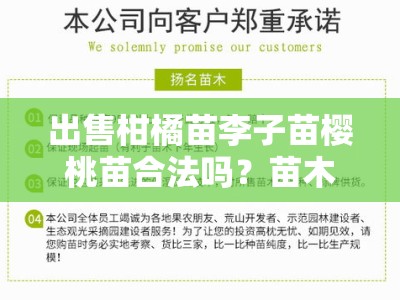 出售柑橘苗李子苗樱桃苗合法吗？苗木经营资质与法律规定解析