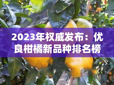 2023年权威发布：优良柑橘新品种排名榜前十名及栽培指南