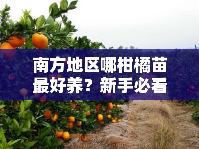 南方地区哪柑橘苗最好养？新手必看的品种推荐与种植技巧