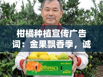 柑橘种植宣传广告词：金果飘香季，诚邀您共筑甜蜜致富路！