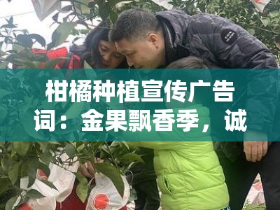 柑橘种植宣传广告词：金果飘香季，诚邀您共筑甜蜜致富路！