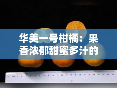 华美一号柑橘：果香浓郁甜蜜多汁的优质新品种