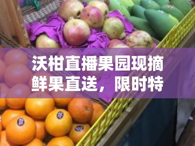 沃柑直播果园现摘鲜果直送，限时特惠点击围观！
