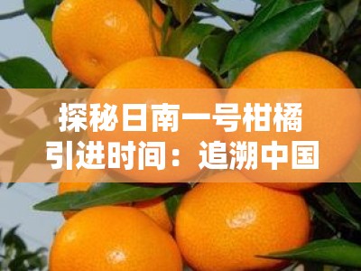 探秘日南一号柑橘引进时间：追溯中国柑橘产业的品种起源与引进历程