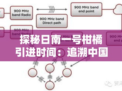 探秘日南一号柑橘引进时间：追溯中国柑橘产业的品种起源与引进历程