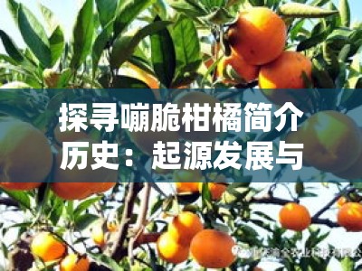 探寻嘣脆柑橘简介历史：起源发展与种植渊源探秘