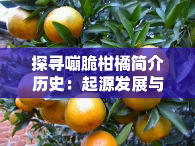 探寻嘣脆柑橘简介历史：起源发展与种植渊源探秘