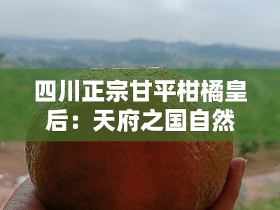 四川正宗甘平柑橘皇后：天府之国自然馈赠的果中珍品