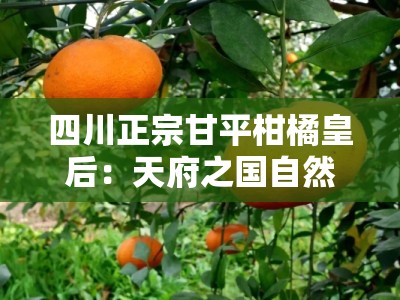 四川正宗甘平柑橘皇后：天府之国自然馈赠的果中珍品