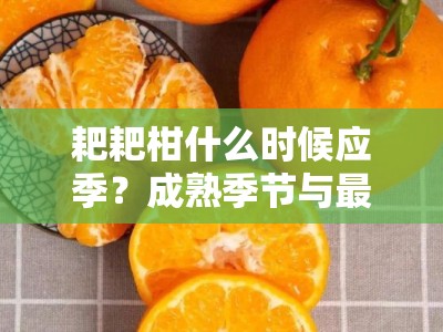 耙耙柑什么时候应季？成熟季节与最佳品尝时间指南