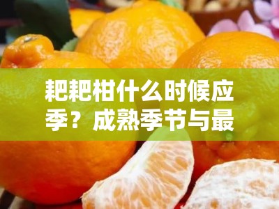 耙耙柑什么时候应季？成熟季节与最佳品尝时间指南
