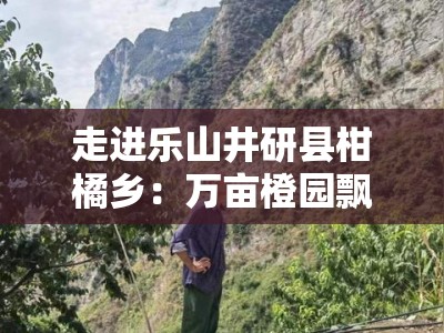 走进乐山井研县柑橘乡：万亩橙园飘香，生态田园绘就金色振兴图
