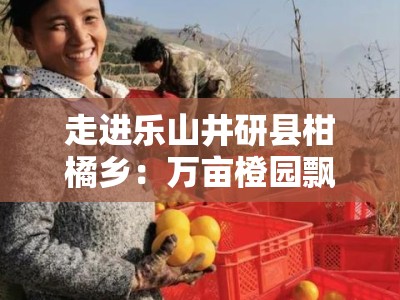 走进乐山井研县柑橘乡：万亩橙园飘香，生态田园绘就金色振兴图