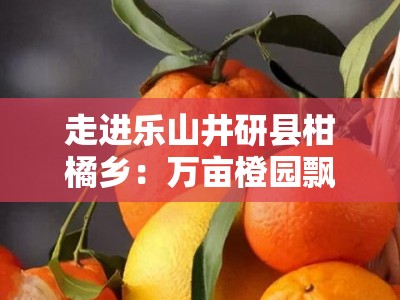 走进乐山井研县柑橘乡：万亩橙园飘香，生态田园绘就金色振兴图