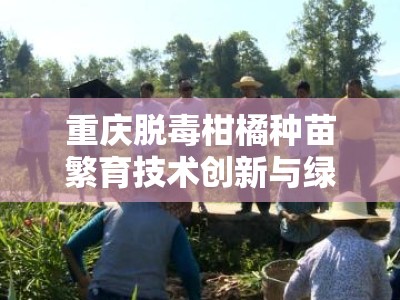 重庆脱毒柑橘种苗繁育技术创新与绿色生态种植示范基地建设