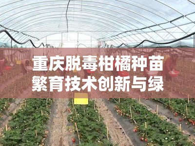 重庆脱毒柑橘种苗繁育技术创新与绿色生态种植示范基地建设