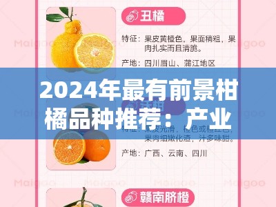 2024年最有前景柑橘品种推荐：产业趋势与市场机遇解析
