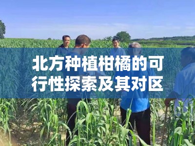 北方种植柑橘的可行性探索及其对区域农业发展的启示