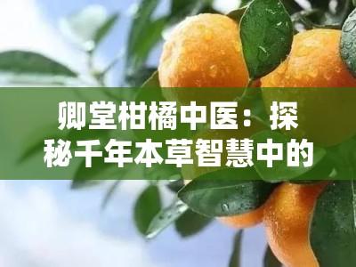 卿堂柑橘中医：探秘千年本草智慧中的柑橘养生之道