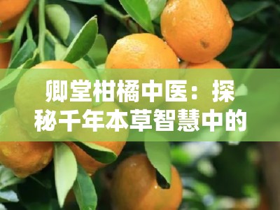 卿堂柑橘中医：探秘千年本草智慧中的柑橘养生之道
