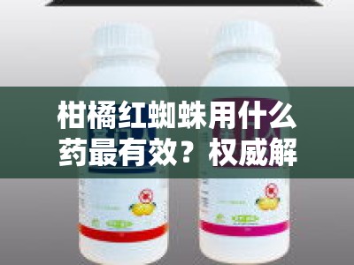 柑橘红蜘蛛用什么药最有效？权威解析防治药物选择与科学使用方法